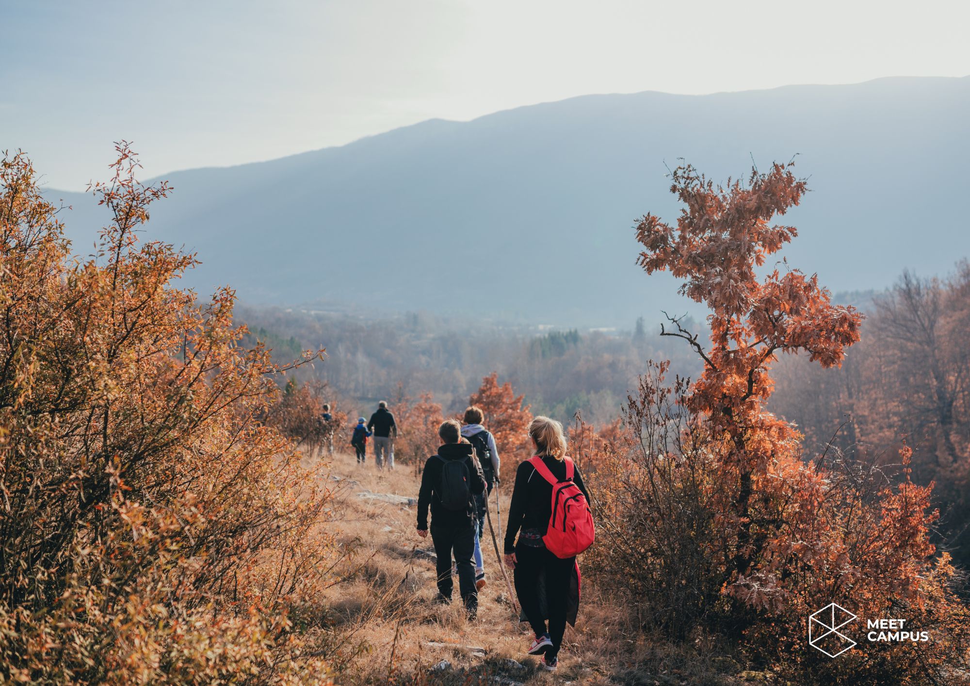 Menschen wandern auf Naturpfad